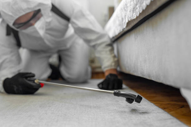 Professional Ant Control technician working in Logansport, LA