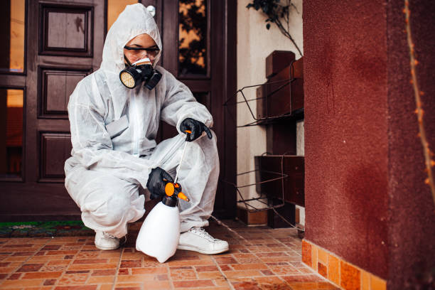 Reliable Ant Control contractor in Logansport, LA by Nex Pest Control