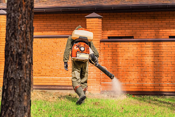 Trusted Rodent Control service in Logansport, LA - Nex Pest Control